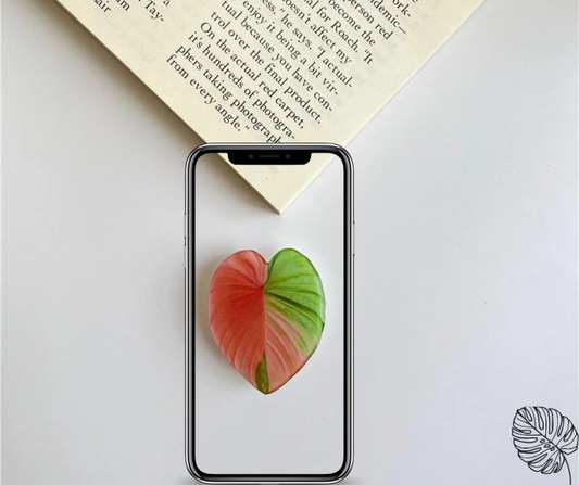 Monstera Leaf Phone Holder (Multicolor) - (1.5 x 2 Inches)